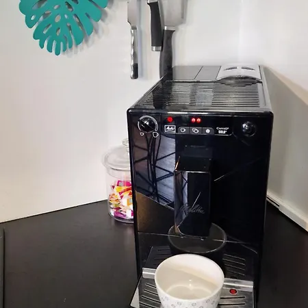 Appartement Typique Rouen Centre Avec Parking Gratuit アパート ルーアン